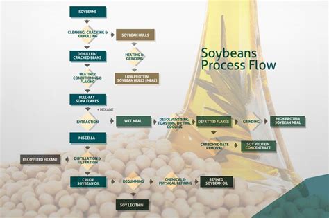 Soybean Oil Process