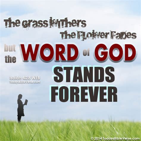 Word of God Stands Forever | Todays Bible Verse