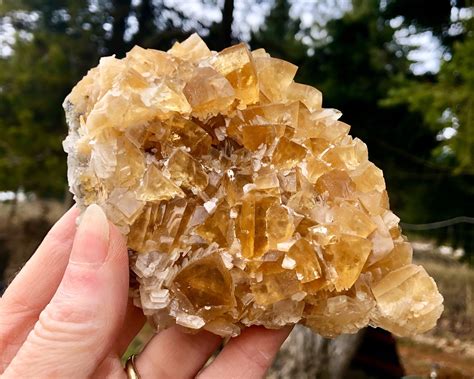 404g Dark Yellow Cubic Calcite Crystal Cluster Specimen