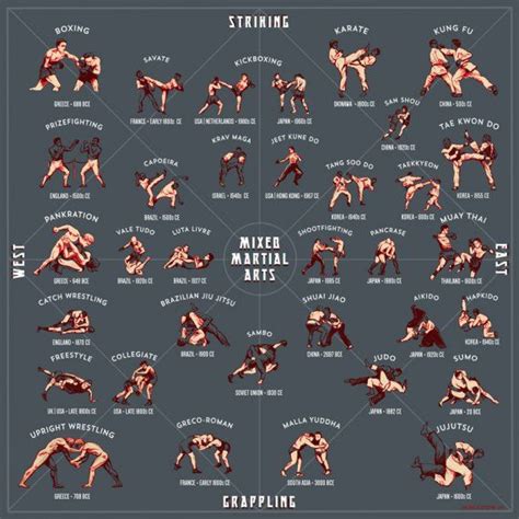 Martial Arts Zodiac Sign at Carol Byrd blog