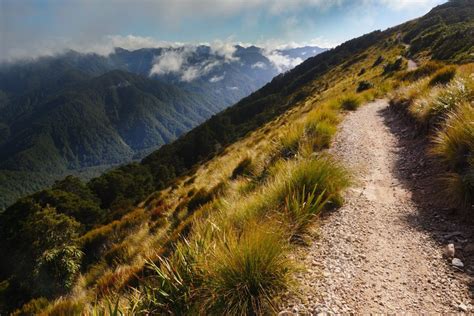 Old Ghost Road New Zealand - Savaari Blog