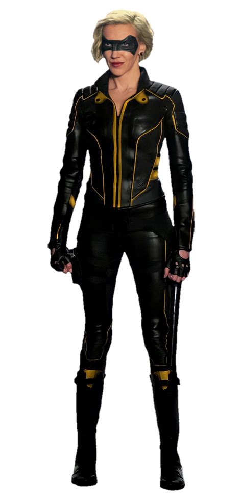 Arrow Laurel Lance Black Canary PNG by Metropolis-Hero1125 on DeviantArt