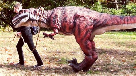 Walking My Pet Dinosaur - YouTube