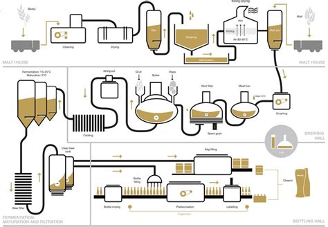 Beer brewing process, Brewing process, Beer brewing