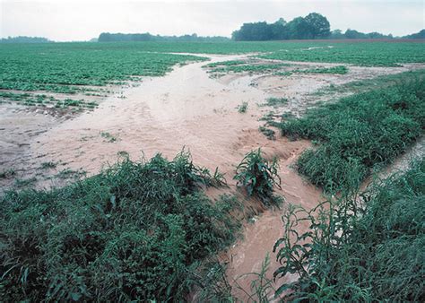 Water Quality Index for Agricultural Runoff, Streamlined and Accessible | USDA