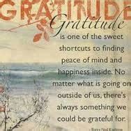 13 Gratitude ideas | gratitude, inspirational quotes, quotes