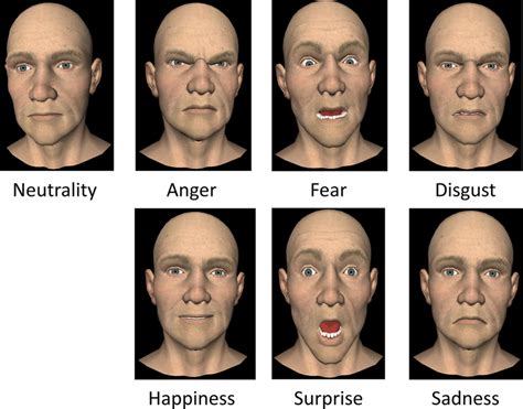 Stimuli. Neutral 3D face model and six basic emotional 3D face models | Download Scientific Diagram