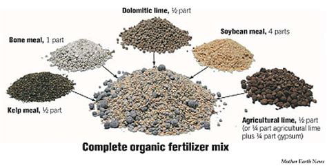 How to make your own organic fertilizer