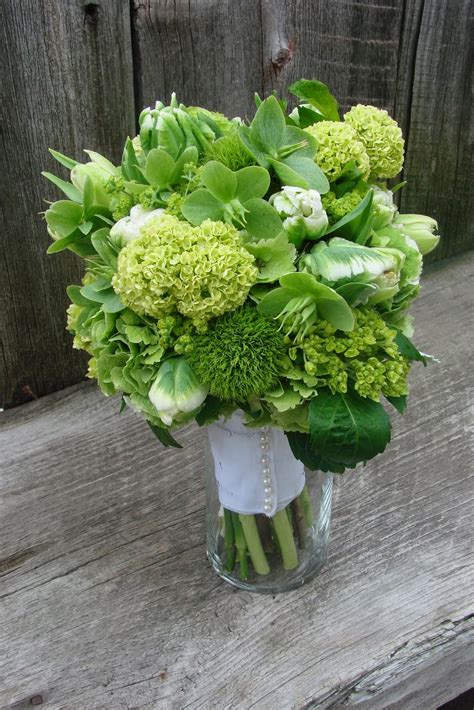 Green Dianthus|http://refreshrose.blogspot.com/