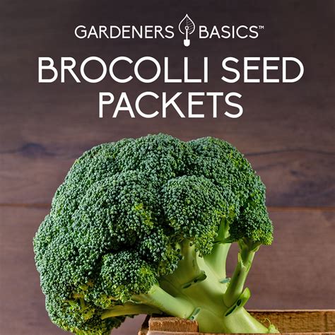 Broccoli Seeds Your Comprehensive Guide to a Thriving Vegetable Garden ...