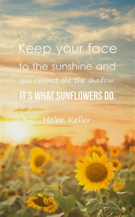 23 Beautiful Sunflower Quotes with Images