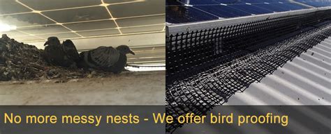 Bird Proofing - Solar Panel Bird Proofing Services Pure Sunshine