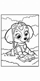 Summer PAW Patrol Rubble And Skye Coloring Page  Free Printable sketch template