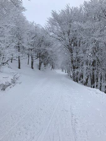 Yamagata Zao Onsen Ski Resort - 2019 All You Need to Know BEFORE You Go (with Photos) - TripAdvisor