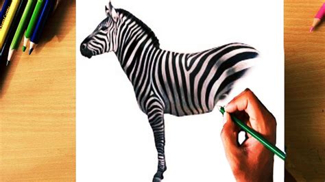 How to draw a realistic zebra by colour pencil step by step | zebra ...