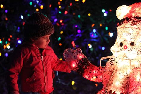 Lake Julian Festival of Lights-Walk Thru Dec. 2-3, 2023 Tickets ...