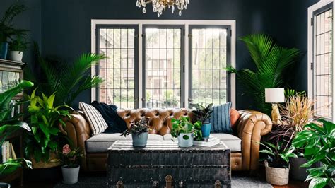 Plant-Lover Living Room Zoom Background Messy Bedroom, Living Room Background, Office Background ...