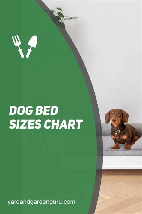 Dog Bed Sizes Chart