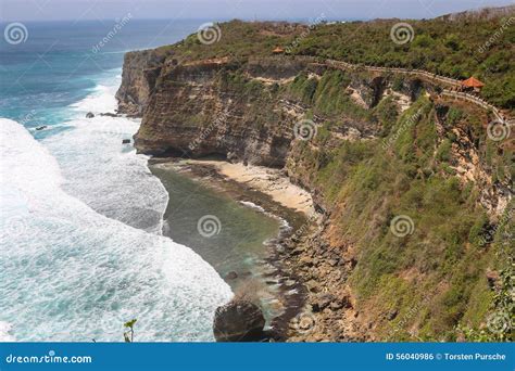 Uluwatu monkey forest editorial photo. Image of hindu - 56040986