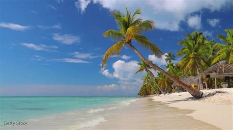 Copy Of Tropical Zoom Virtual Background Video Postermywall | Images ...