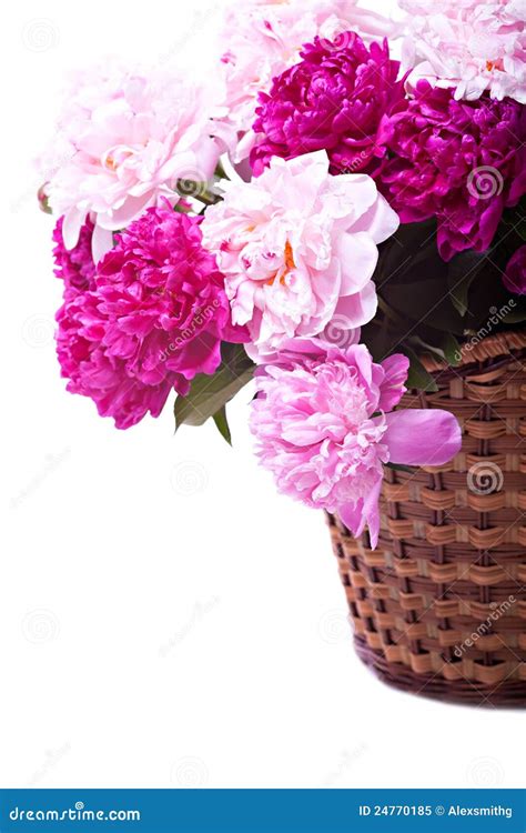 Bouquet of peonies blooms stock image. Image of card - 24770185