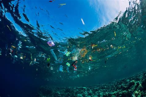 These images show the true impact of plastics on our oceans ...