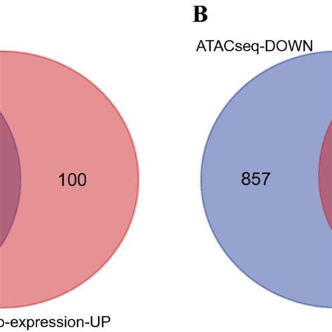 Integrated analysis of ATAC-seq and RNA-seq data. The overlapped genes... | Download Scientific ...