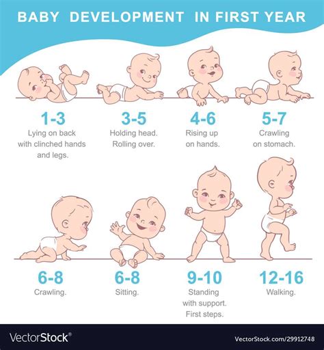 Infographic of baby growth from newborn to toddler with text. First year milestones. Cute boy ...