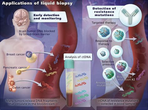 Liquid Biopsy — enabling non-invasive precision medicine through a simple blood sample