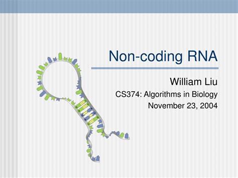 PPT - Non-coding RNA PowerPoint Presentation, free download - ID:247486