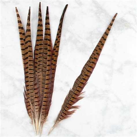 Pheasant Feathers - Feathers - Basic Craft Supplies - Craft Supplies - Factory Direct Craft