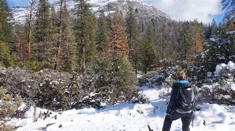 Winter Hiking and Snowshoeing in Yosemite - Intrepid (4 Days From ...