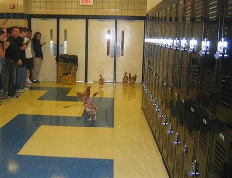 60 of the craziest high school senior pranks