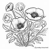 Floral Design Coloring Pages  Free & Printable sketch template
