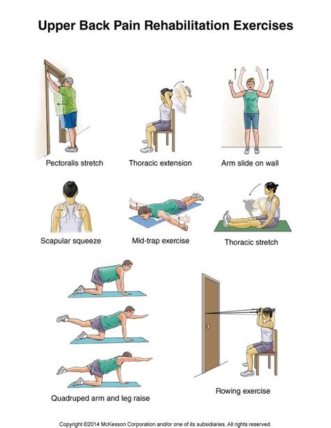 Upper Back Exercises — Knotry