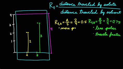 Calculating Rf Values - YouTube