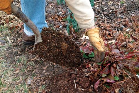 Making Leaf Mold - Fine Gardening