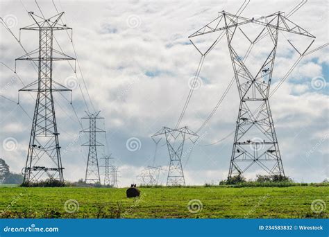 View of Transmission Towers in the Point of Rocks Maryland Area, USA Stock Photo - Image of grid ...