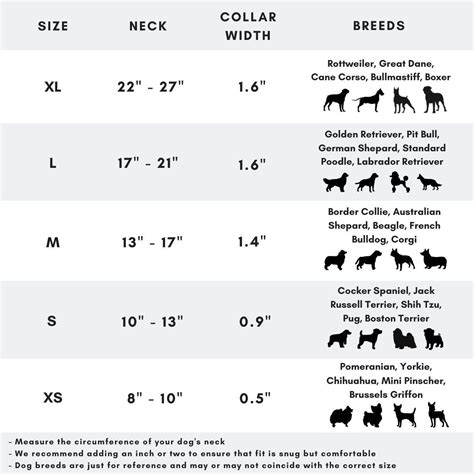 One & Only Collars: Unique Collars for Unique Dogs - AMOR Handmade ...