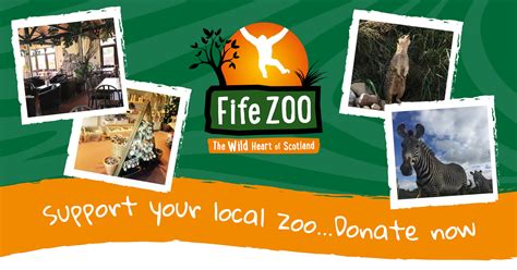 animals Archives - Fife Zoo