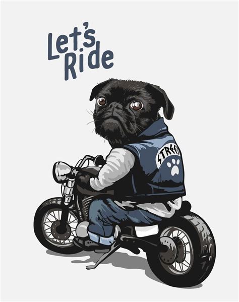 black pug on motorcycle cartoon 693320 Vector Art at Vecteezy