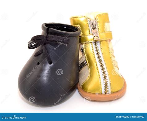 Models of dog boot stock photo. Image of snow, plantar - 31493322