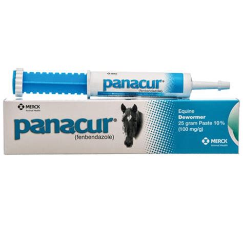 Panacur Paste Dewormer Safe Foals Pregnant Mares Stallions 25 Gm | Stallion, Foals, Mare