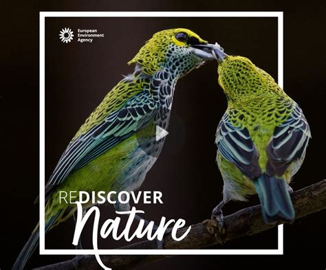 REDISCOVER Nature until 30 September 2020 | Photo Contest Calendar 2024