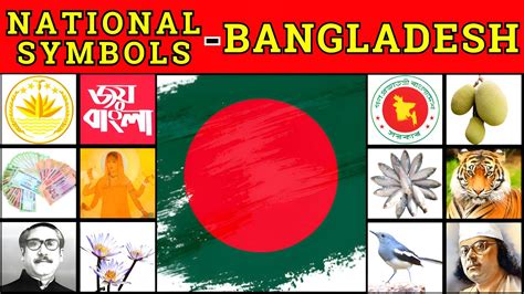 National Symbols of Bangladesh Explained 🇧🇩 | বাংলাদেশের জাতীয় প্রতীক | #bangladesh - YouTube