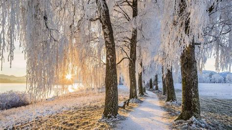 Uffing Staffelsee Winter – Bing Wallpaper Download