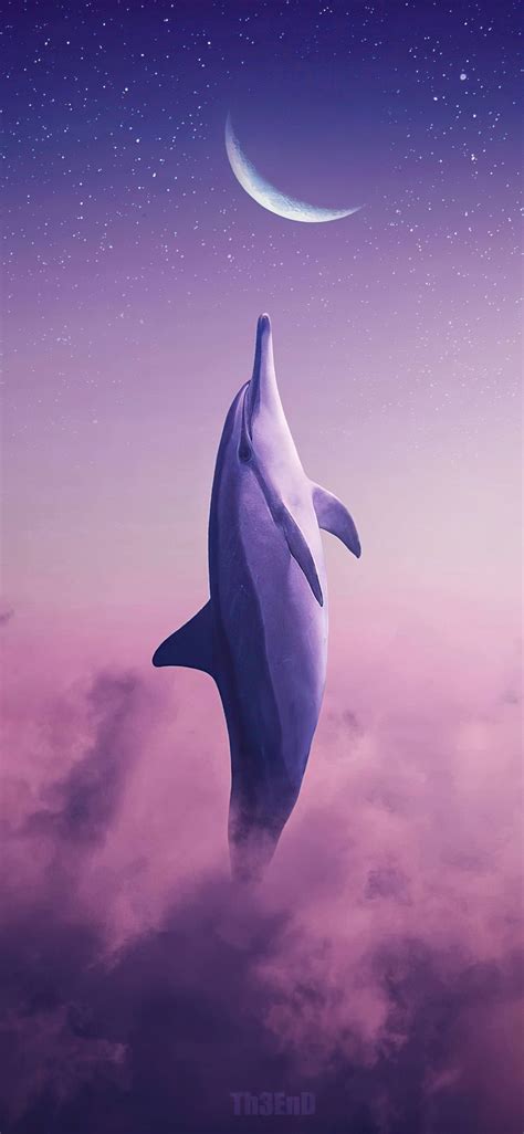 1125x2436 Dolphin Touching Moon 4k Iphone XS,Iphone 10,Iphone X HD 4k Wallpapers, Images ...