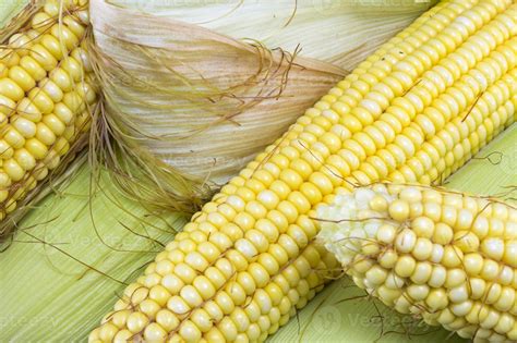 Partially revealed fresh yellow corn 777634 Stock Photo at Vecteezy