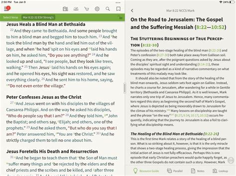 Look Inside: The New Covenant Commentary Series – Olive Tree Blog