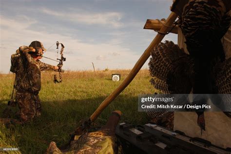 Archery Target Practice At Hunting Camp High-Res Stock Photo - Getty Images